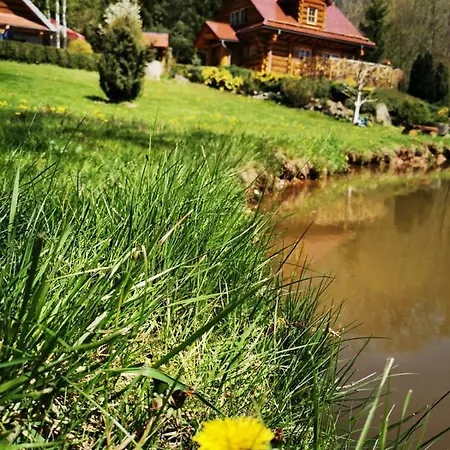 Zbychowka Villa