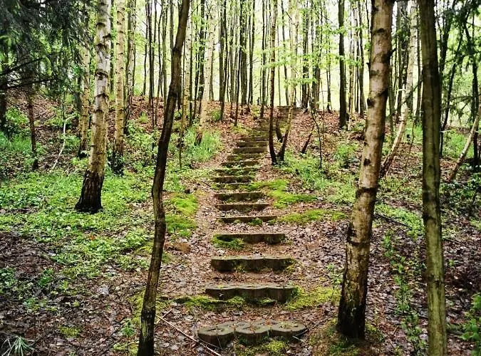 Zbychowka Villa Przezdziedza